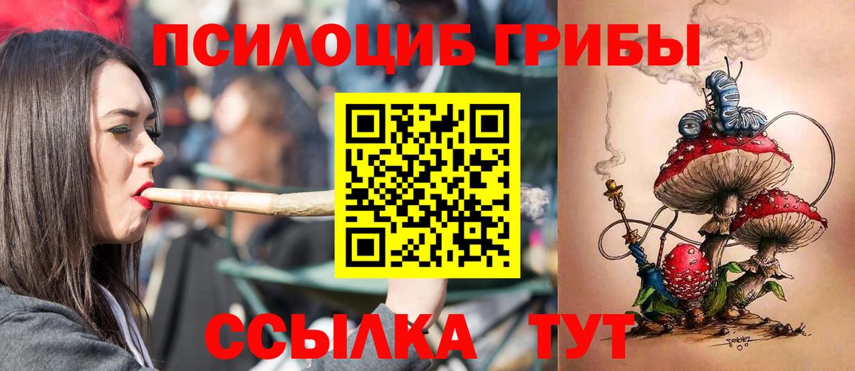 Галлюциногенные грибы Magic Shrooms  Вход с VPN  Галлюциногенные грибы Magic Shrooms  Лосино-Петровский 